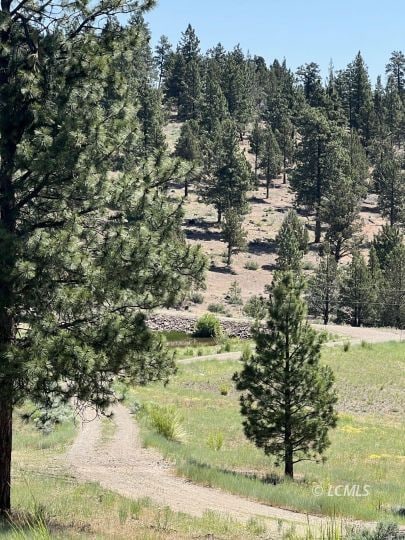 89384 Oregon 140, Lakeview, OR 97630 - photo 7