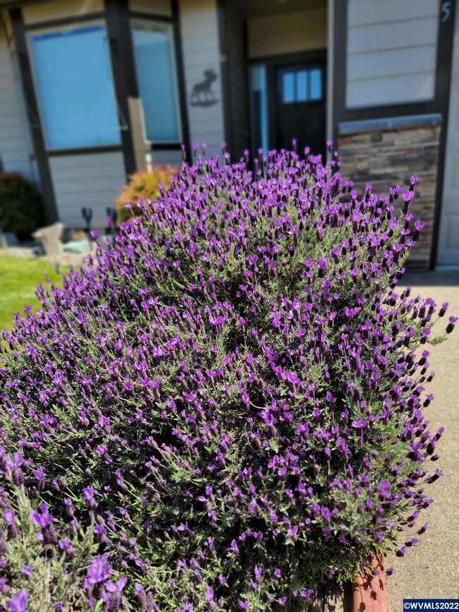 6105 NE Chandra Ct, Albany, OR 97321 - photo 3