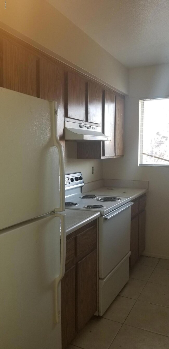 260 W 8th Ave unit 119, Mesa, AZ 85210 - photo 4