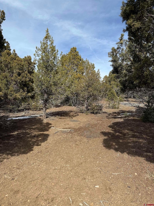 TBD J8 Rd, Mancos, CO 81328 - photo 6