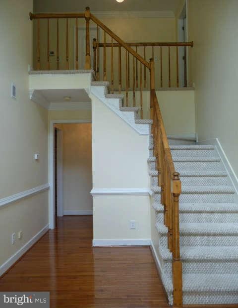 7010 Bloomsbury Ln, Spotsylvania, VA 22553 - photo 5