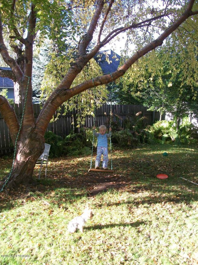 Fenced Backyard