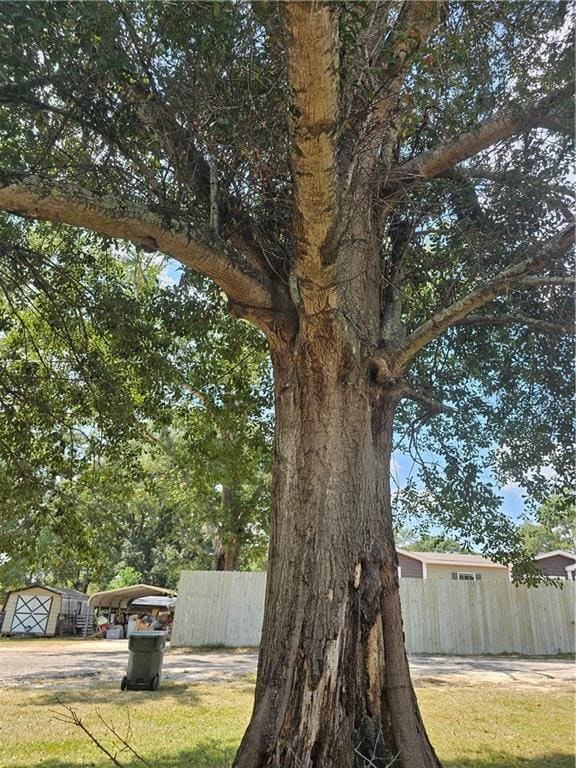 View of yard with big oak tree