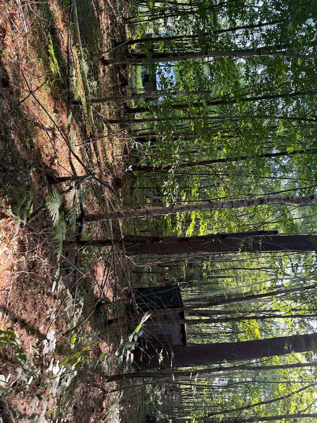 167 Branch Londonderry Turnpike, Contoocook, NH 03229 - photo 6