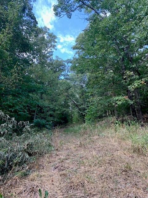 0 Patton Rd, West Fork Township, AR 72774 - photo 4