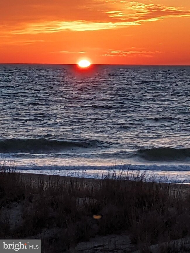 7209 Atlantic Ave unit 2D, Ocean City, MD 21842 - photo 4