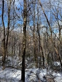 18N Bear Paw Rd, Jasper, GA 30143 - photo 6