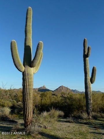 Pinnacle Peak View