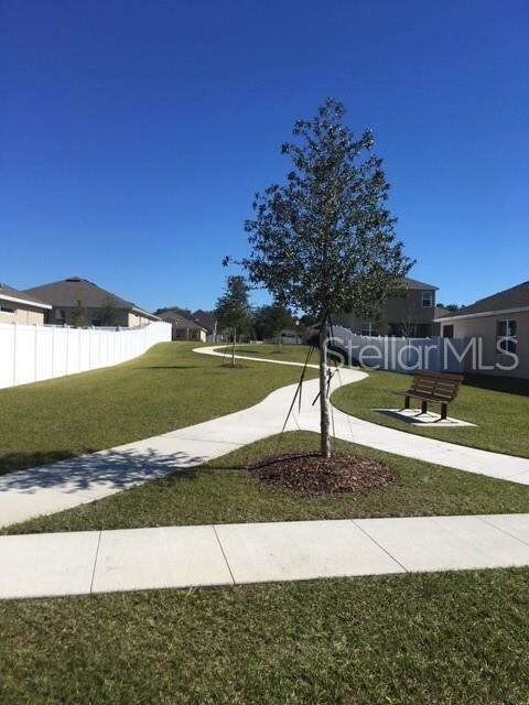 3121 Beth Page Loop, Mount Dora, FL 32757 - photo 6