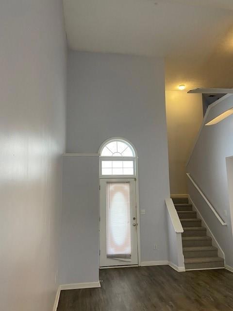 Entry Foyer, Coat closet