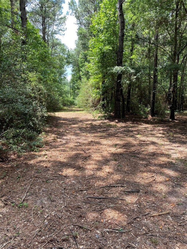 10356 Daw Collins Rd, Cleveland, TX 77328 - photo 5