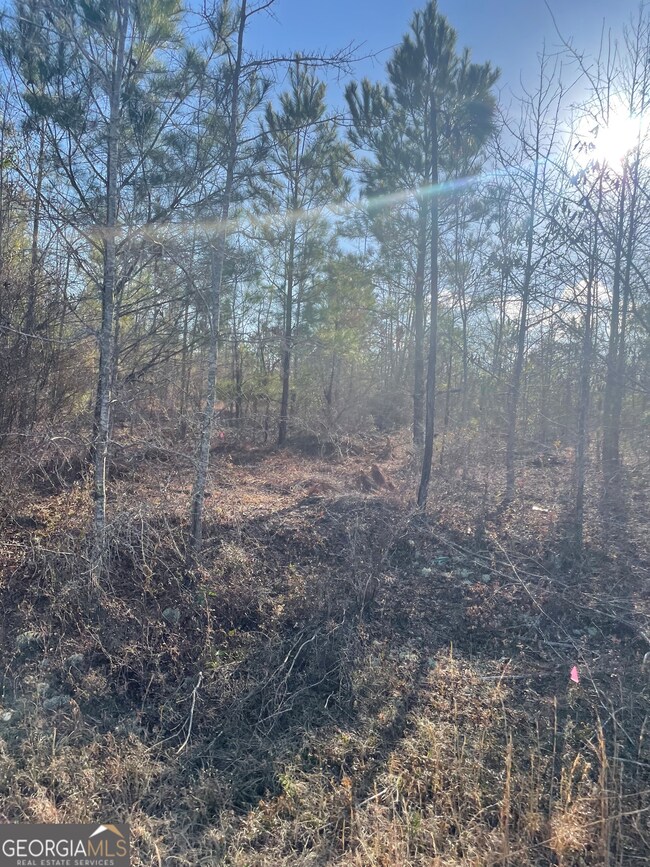 0 Rock Springs Rd unit 10456548, Dublin, GA 31021 - photo 2