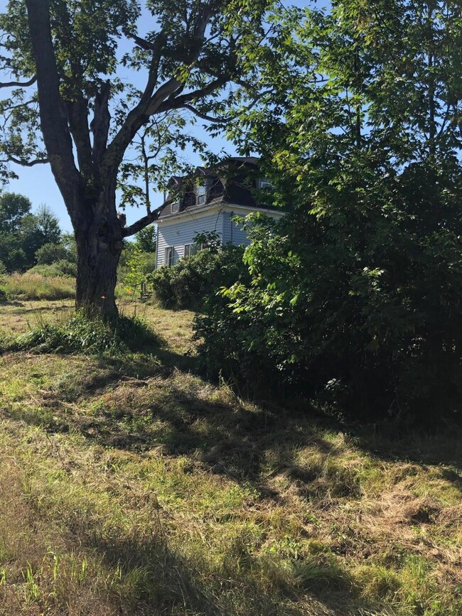 West View Front Yard