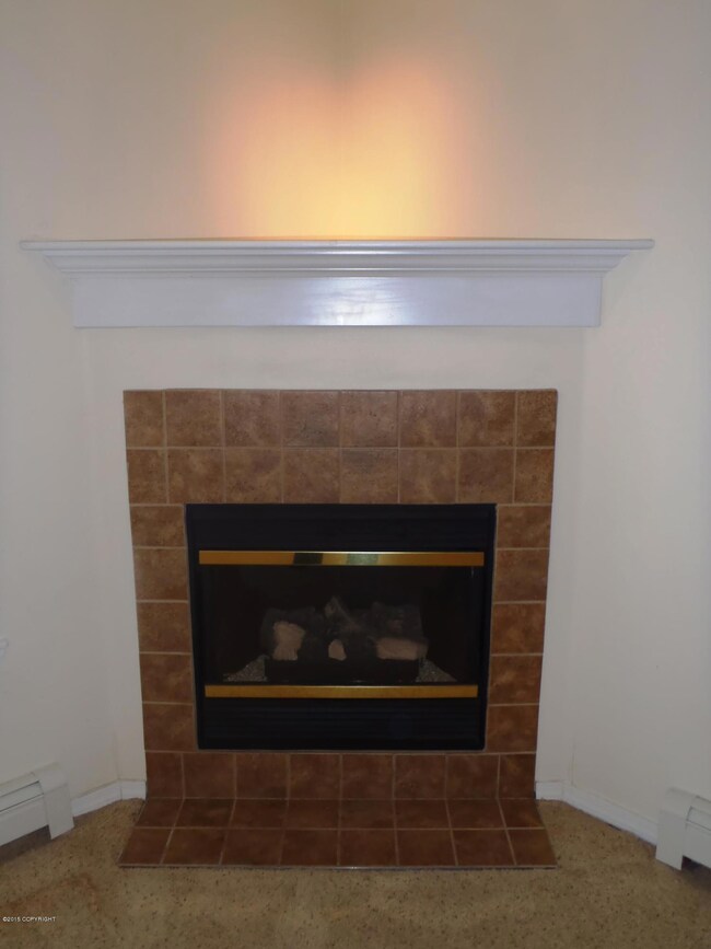 Gas Fireplace