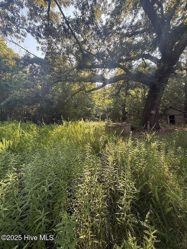 area to left of old home with well and o