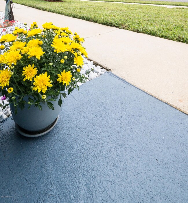 7751 Mordecai Ct, Jacksonville, FL 32210 - photo 4