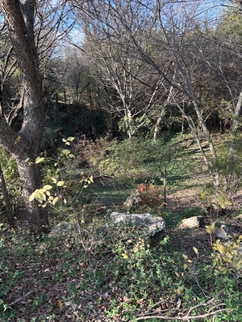 2009 Valley View Dr, Cedar Hill, TX 75104 - photo 2