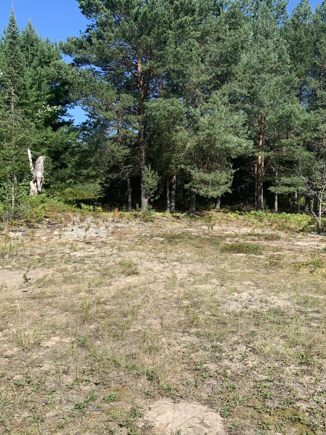 Looking N Over Back Yard
