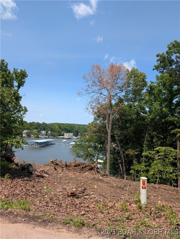 Neighbor's Lot across the road- opened up the view