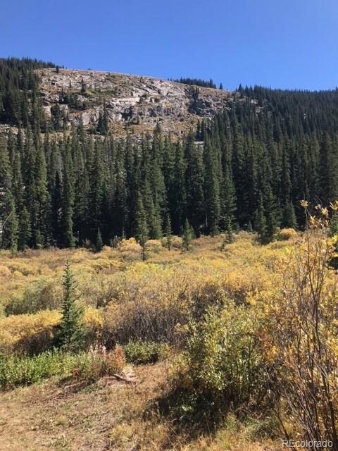South Lot Chicago Creek Rd, Idaho Springs, CO 80452 - photo 5