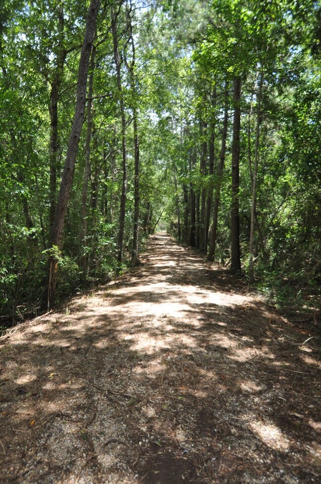Road into the property