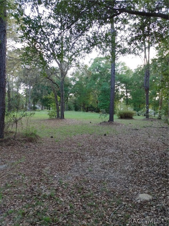 94 E Pilar, Hernando, FL 34442 - photo 3