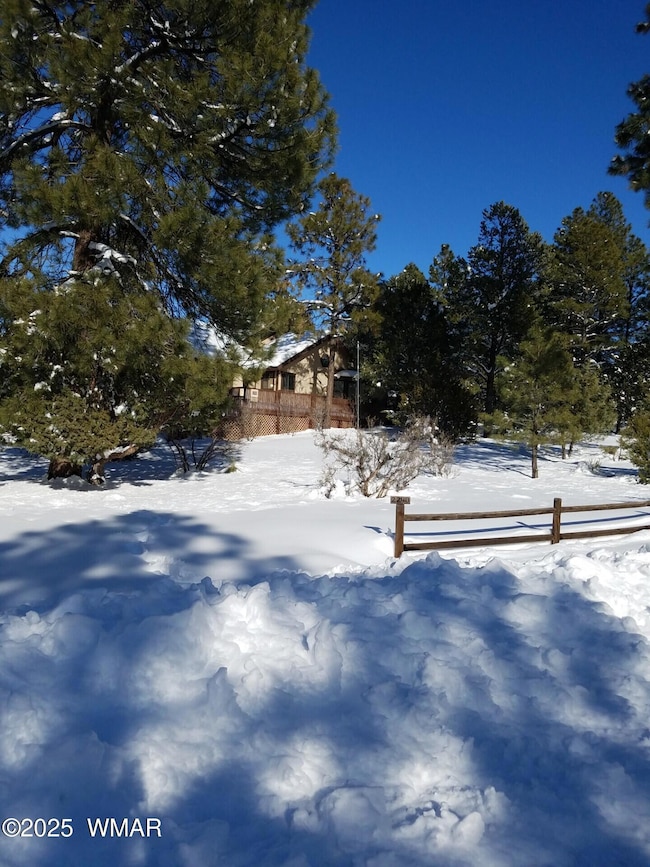 snow 2