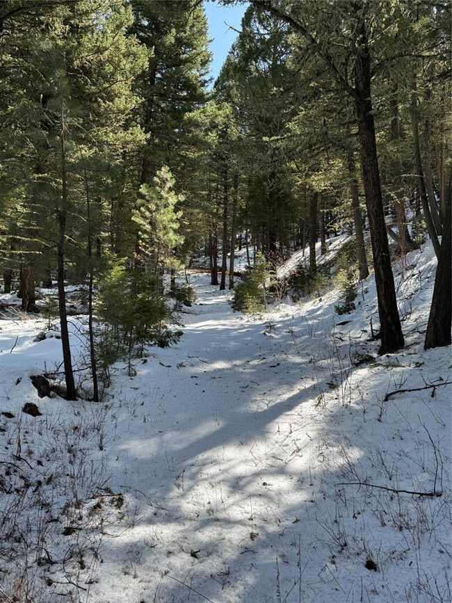TBD Upper Sawmill Creek Ln, Other - See Remarks, MT 59421 - photo 7