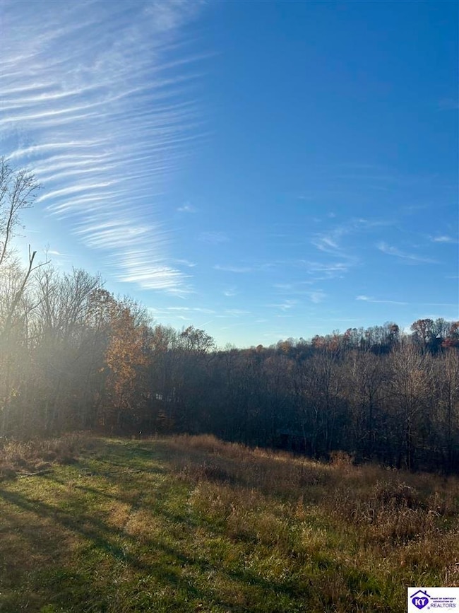 8AC Tucker Rd, Greensburg, KY 42743 - photo 2