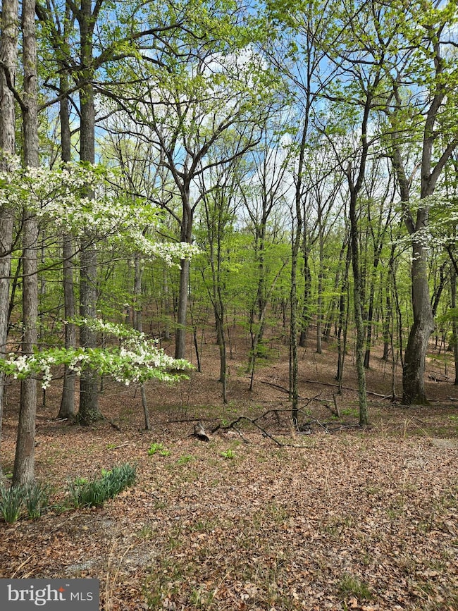 0 Pioneer Trail unit WVMO2005610, Great Cacapon, WV 25422 - photo 2