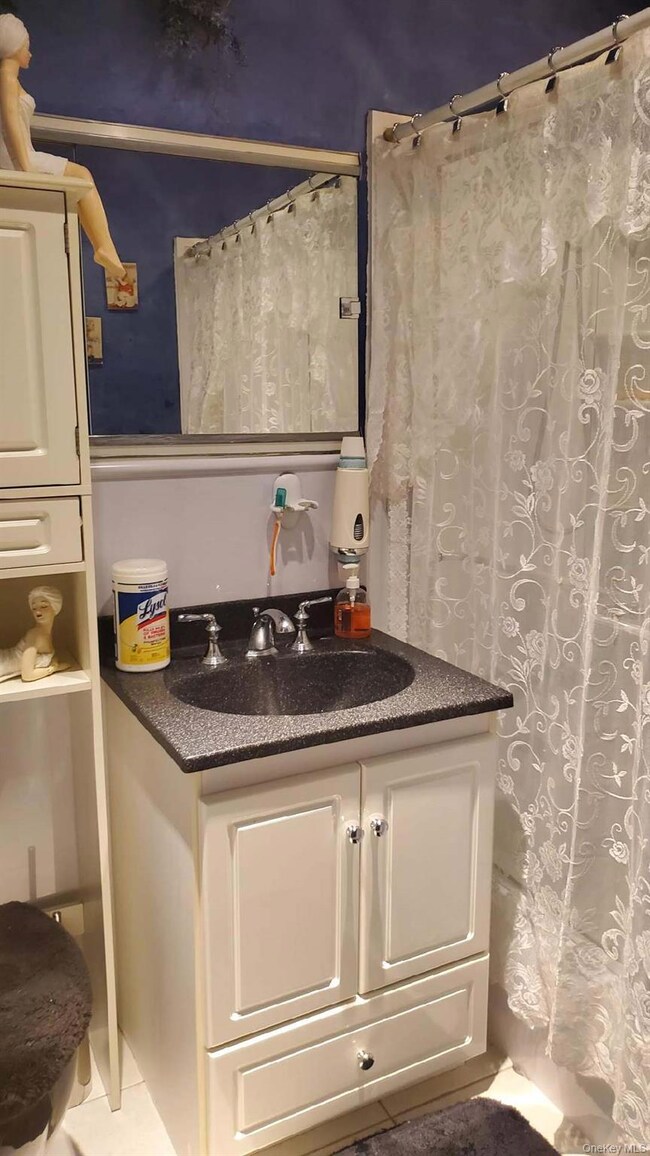 Plymouth House West unit 3N, Howard Beach, NY 11414 - photo 4