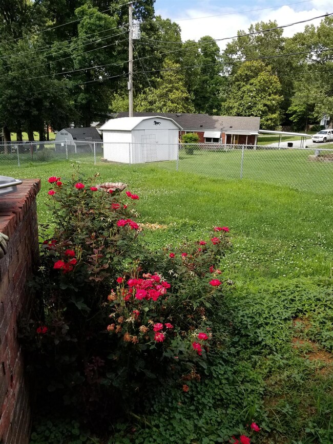 Partially fenced back yard area