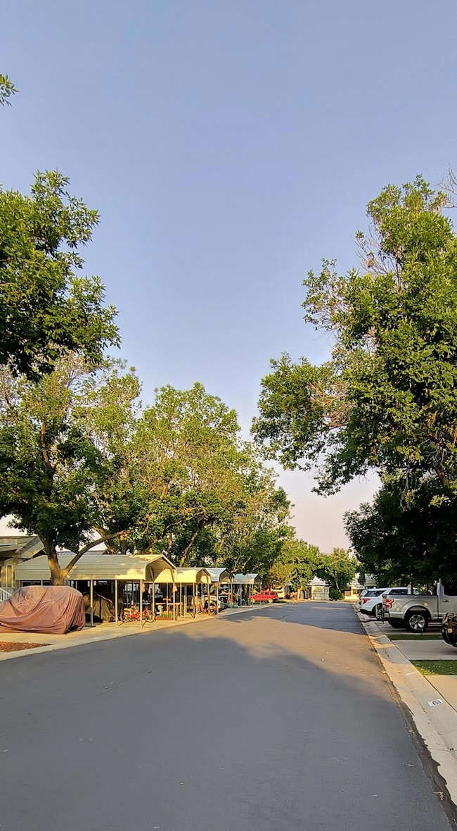 IMG_20250710_072929620_HDR