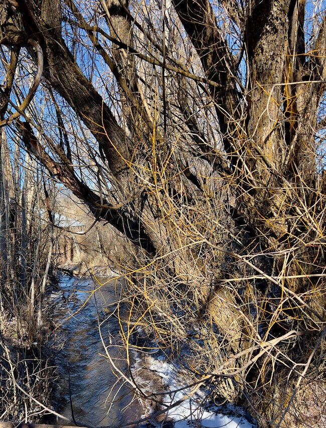 2365 Morse Way, Chewelah, WA 99109 - photo 7