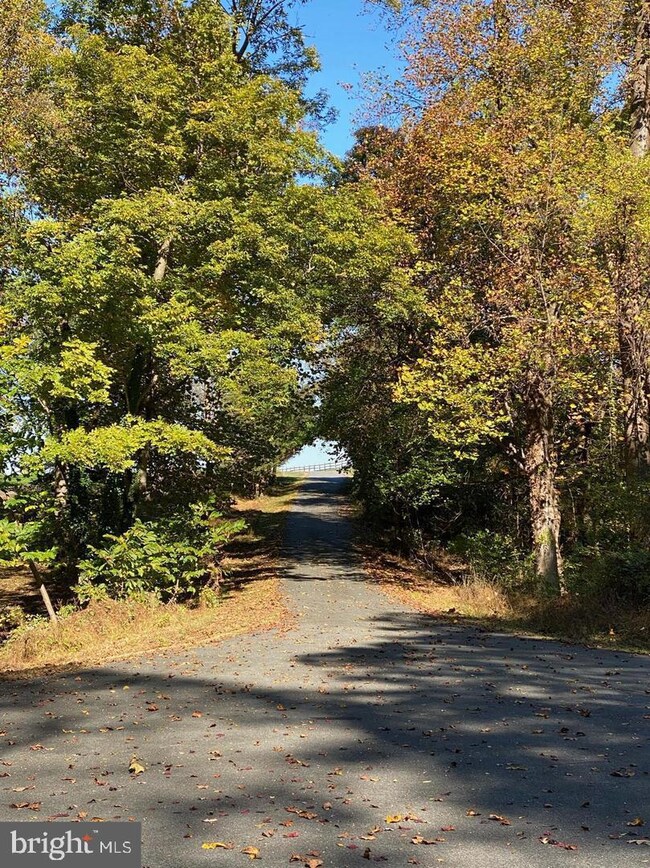 0 Hall Creek Dr, 1, Cecilton, MD 21919 - photo 7
