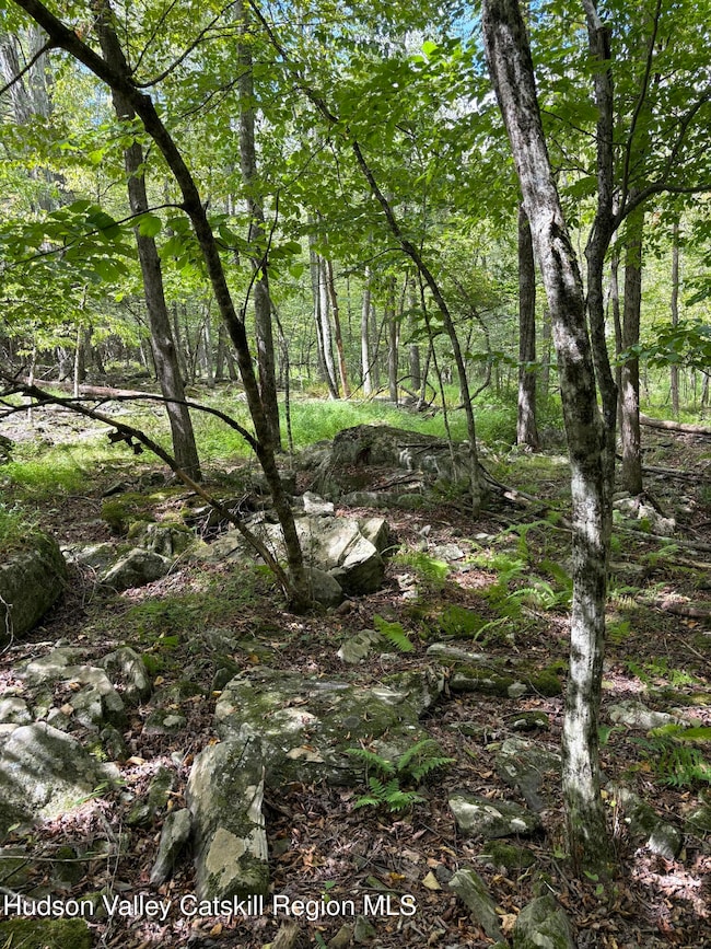 TBD Oak Ridge Rd, Ellenville, NY 12428 - photo 2
