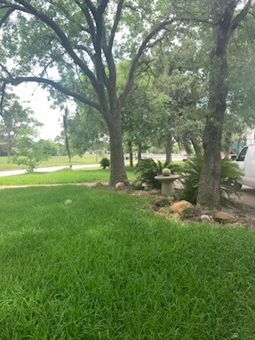 3831 N Macgregor Way, Houston, TX 77004 - photo 2