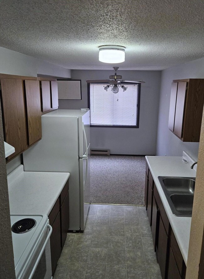 10 12th Ave NE unit 14, Elbow Lake, MN 56531 - photo 4