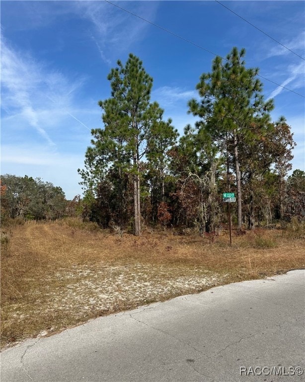 Lot 2 NE 151 Terrace, Williston Highlands, FL 32696 - photo 4
