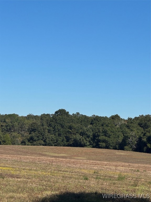 429 E Skyline Ave, Geneva, AL 36340 - photo 2