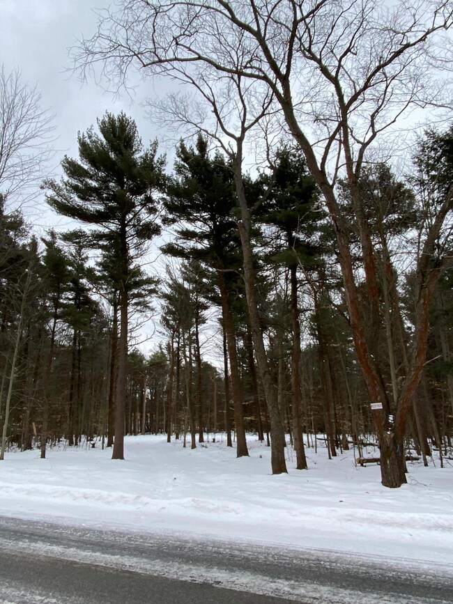Lot 7 Fillmore cleared Drive