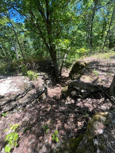 2502 County Road 220, Eureka Springs, AR 72631 - photo 3