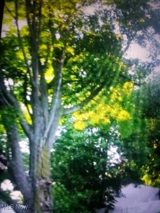 1141 Johnland Ave, Akron, OH 44305 - photo 2