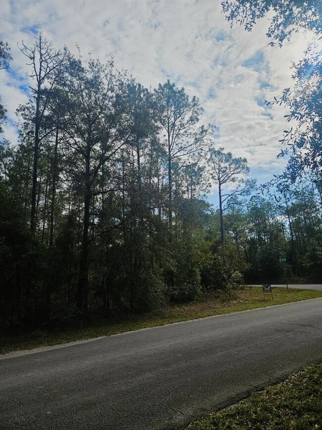 0 SW 206th Court Rd, Dunnellon, FL 34431 - photo 6