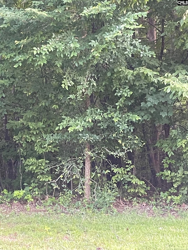 11 Otter Trail Ct, Columbia, SC 29203 - photo 3