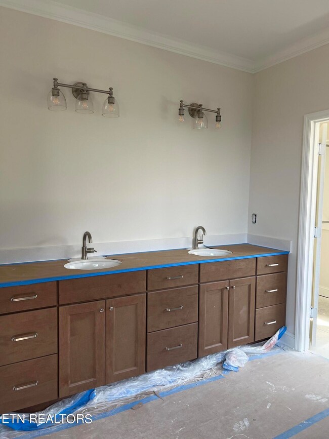 Owner's Bath