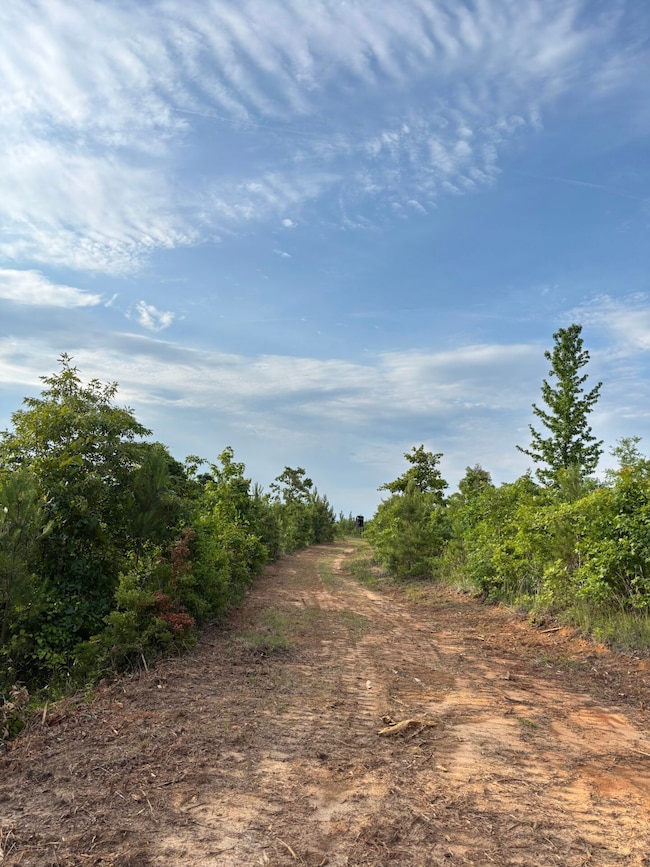 unlisted-address unit Attala County MS, Kosciusko, MS 39090 - photo 2