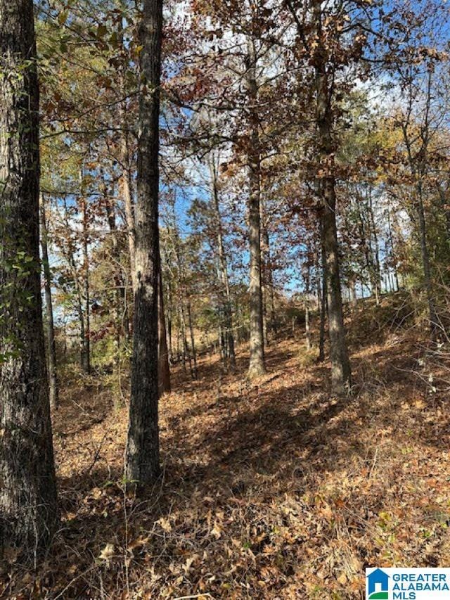 113 Crest Dr, Chelsea, AL 35043 - photo 6