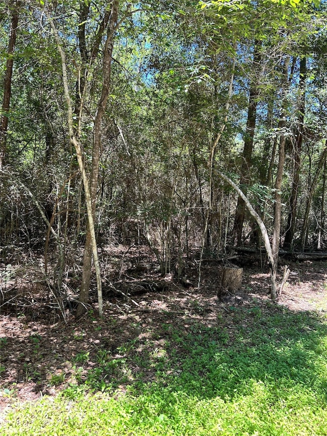 TBD Kelly Rd, Magnolia, TX 77354 - photo 2