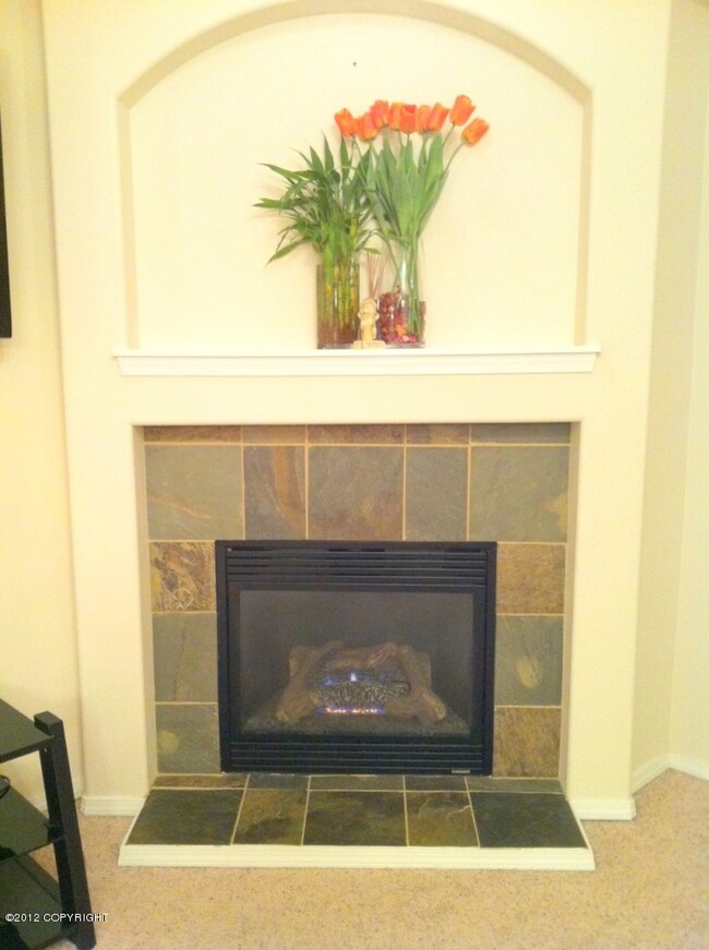 Gas Fireplace